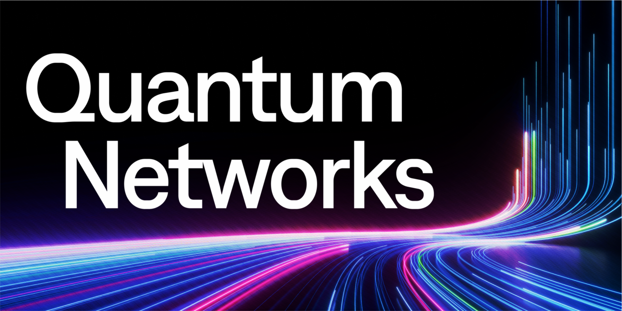 Quantum Networks and The Quantum Internet cover